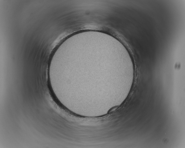 X0000111220011200907231451