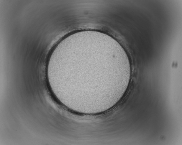 X0000111220012200907231451