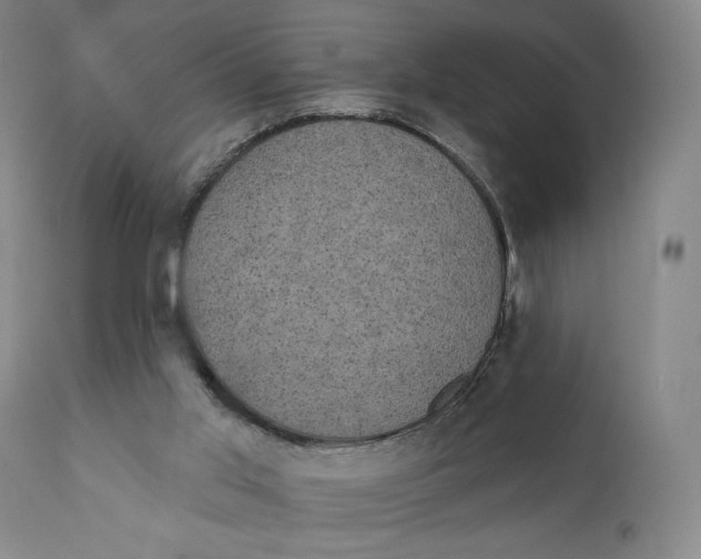 X0000111220013200907231451
