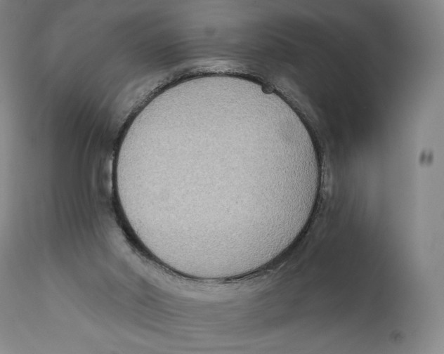 X0000111220014200907231451