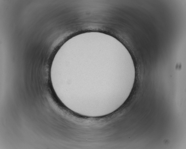 X0000111220016200907231451
