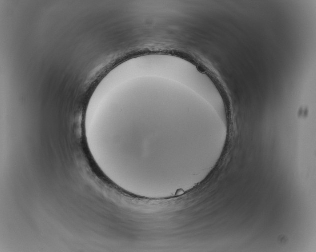 X0000111220019200907231451