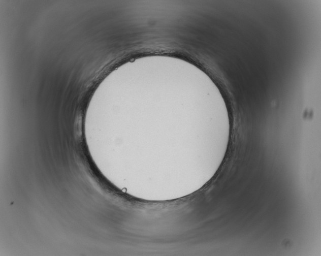 X0000111220021200907231451