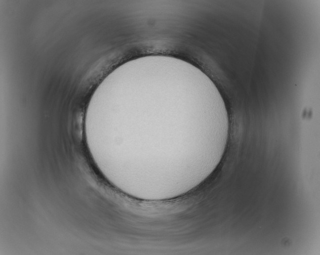 X0000111220022200907231451