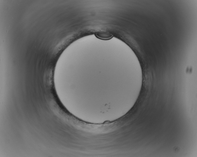 X0000111220023200907231451