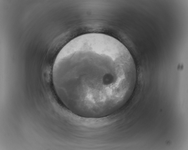 X0000111220026200907231451