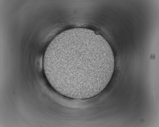 X0000111220028200907231451