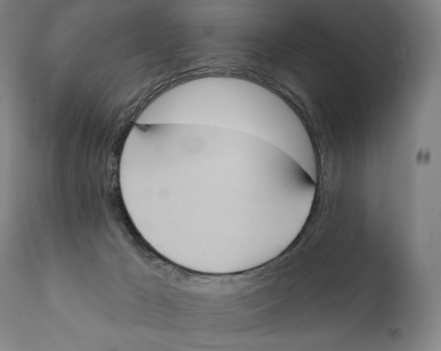 X0000111220029200907231451
