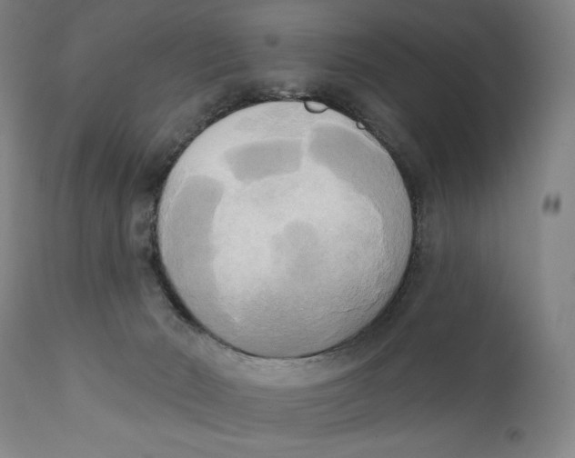 X0000111220030200907231451