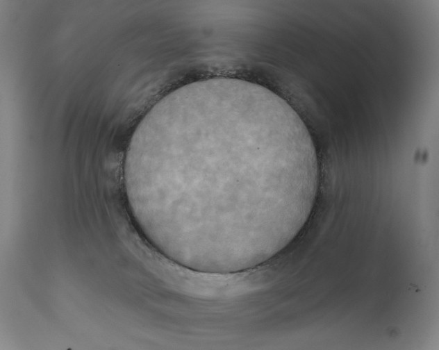 X0000111220034200907231451