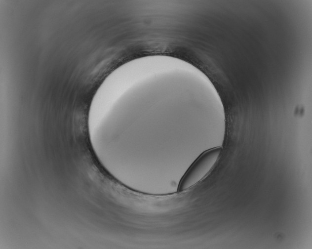 X0000111220035200907231451