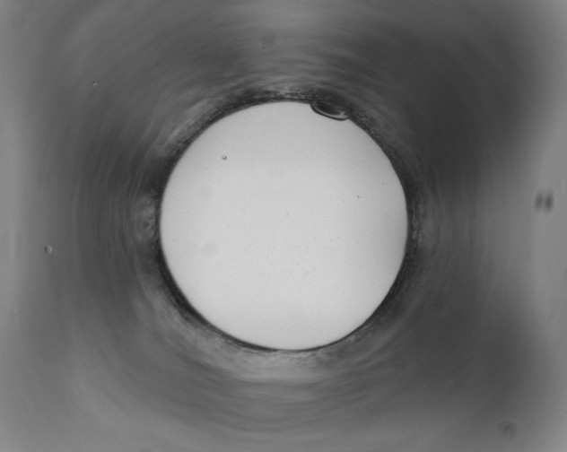X0000111220036200907231451