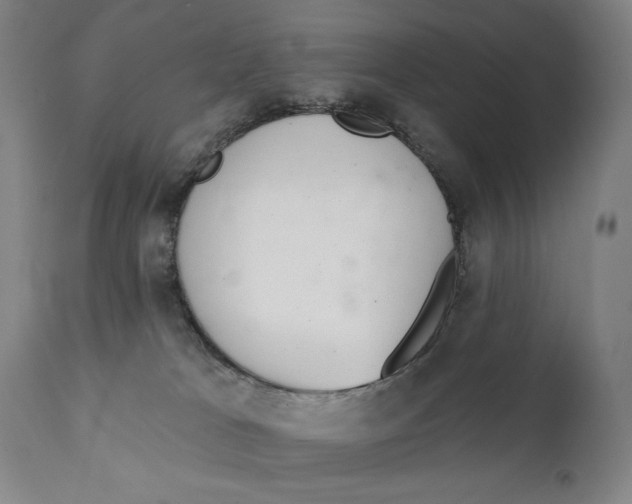 X0000111220037200907231451