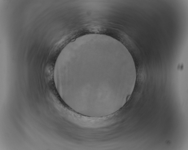 X0000111220043200907231451