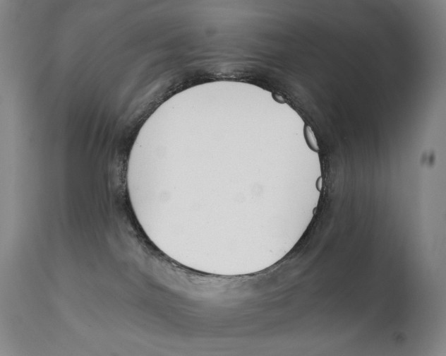 X0000111220044200907231451
