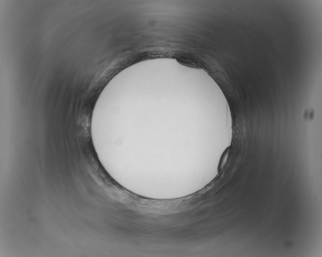 X0000111220045200907231451