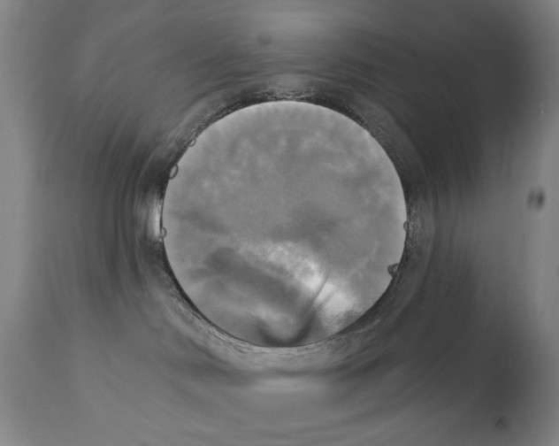 X0000111220046200907231451