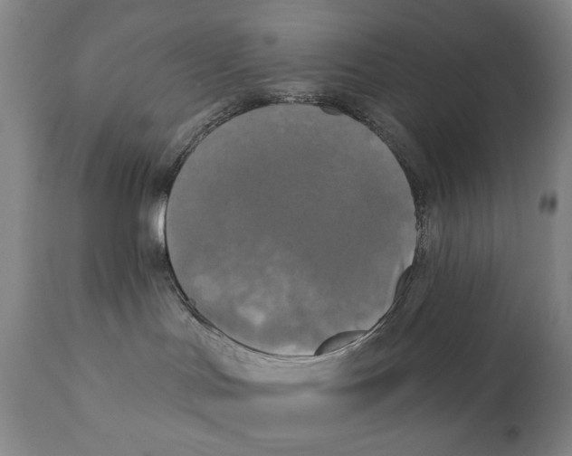 X0000111220047200907231451