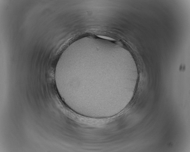 X0000111220048200907231451