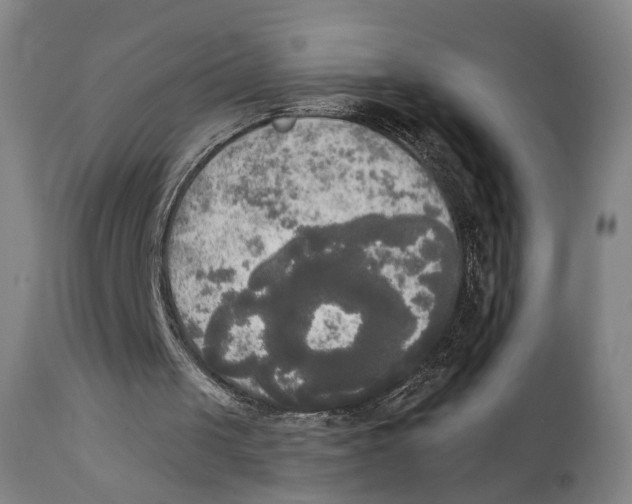 X0000111220049200907231450