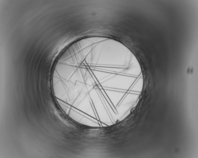 X0000111220050200907231450