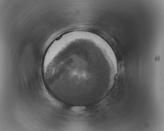 X0000111220051200907231450