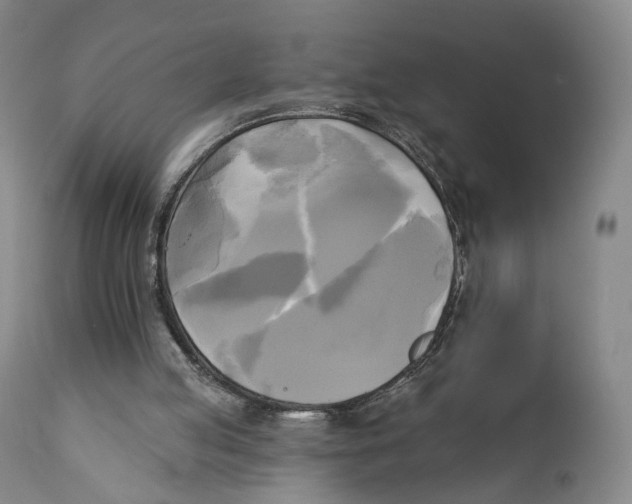 X0000111220053200907231450