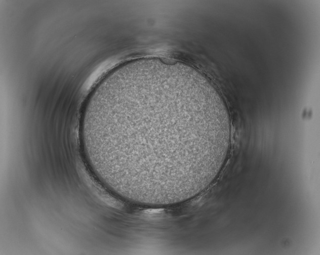 X0000111220054200907231450