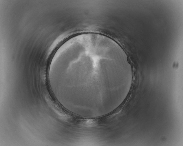 X0000111220056200907231450