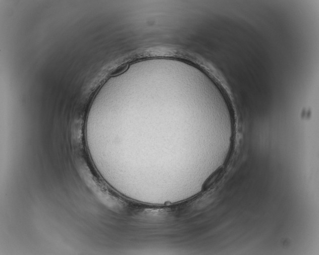 X0000111220057200907231450