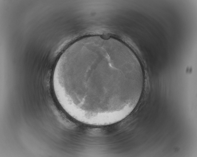 X0000111220058200907231450