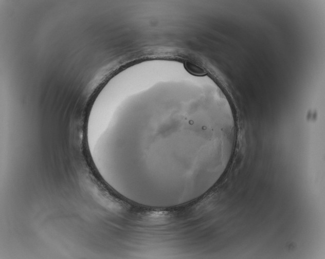 X0000111220059200907231450