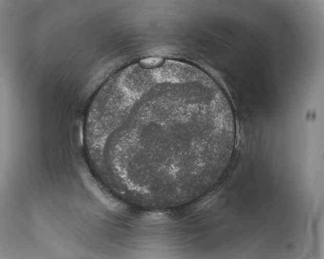 X0000111220061200907231450