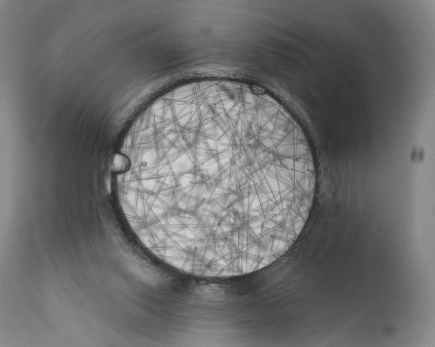 X0000111220062200907231450