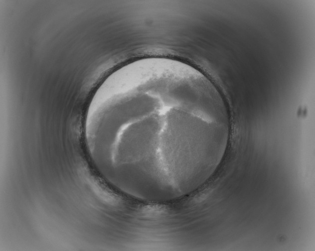 X0000111220063200907231450