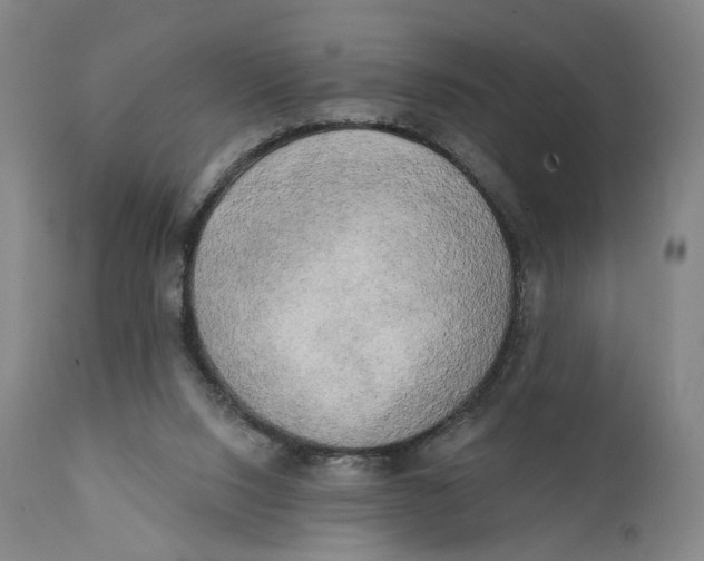 X0000111220064200907231450