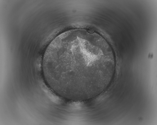 X0000111220065200907231450