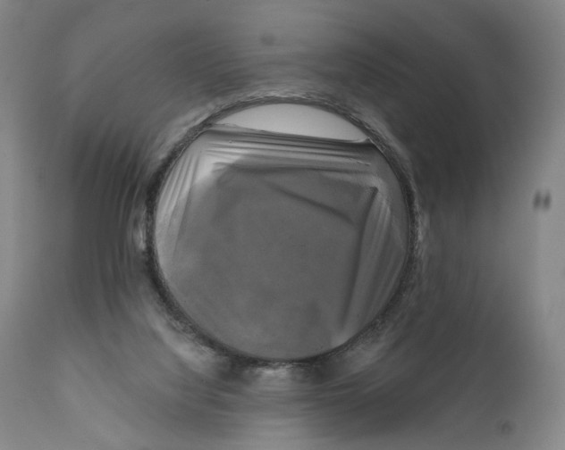 X0000111220068200907231450
