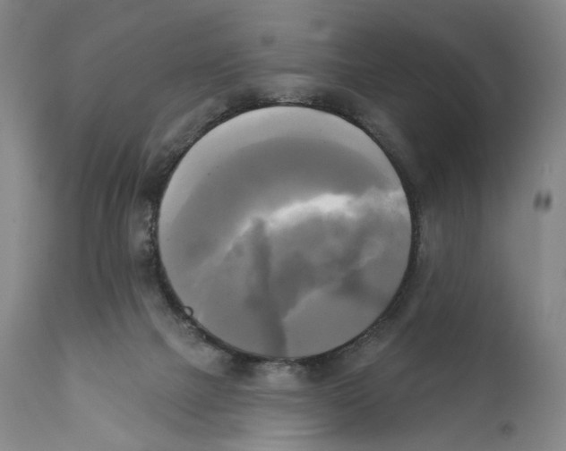X0000111220073200907231450