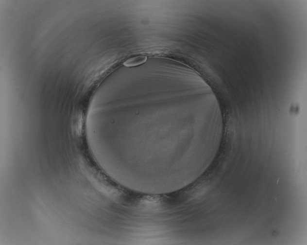 X0000111220076200907231450