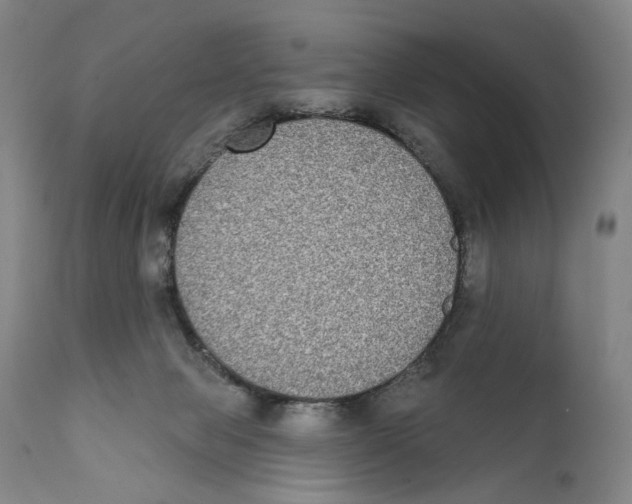 X0000111220077200907231450