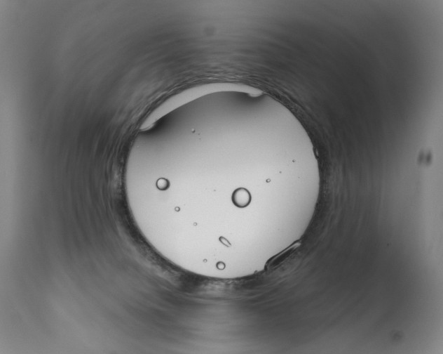 X0000111220084200907231451