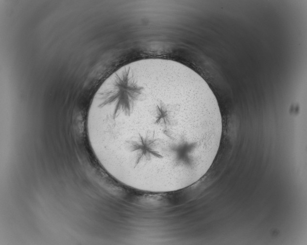 X0000111220086200907231451