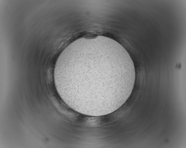 X0000111220088200907231451