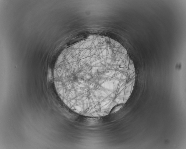 X0000111220089200907231451
