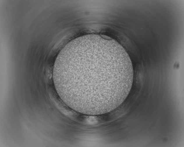 X0000111220091200907231451