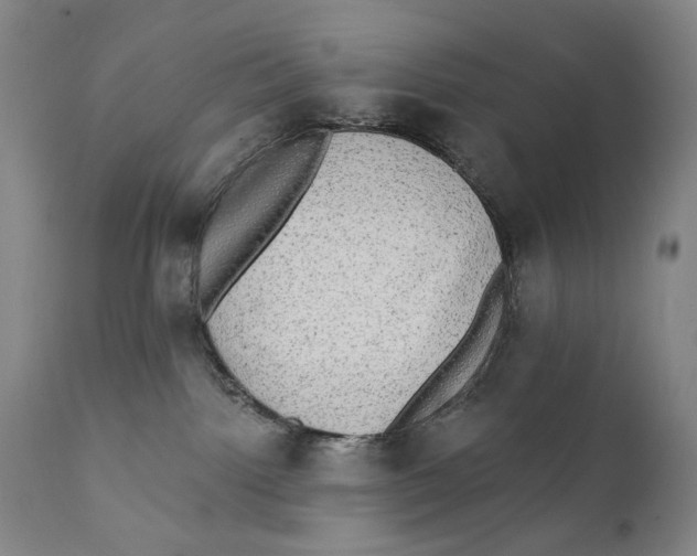 X0000111220092200907231451