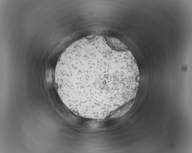 X0000111220094200907231451