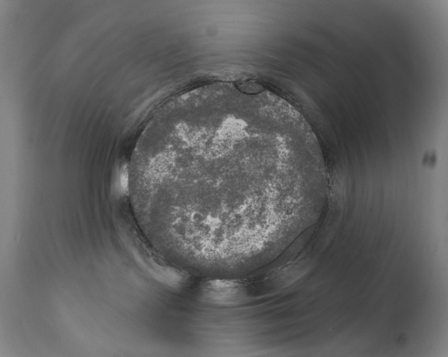 X0000111220095200907231451