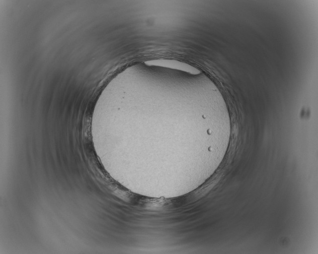 X0000111220096200907231451